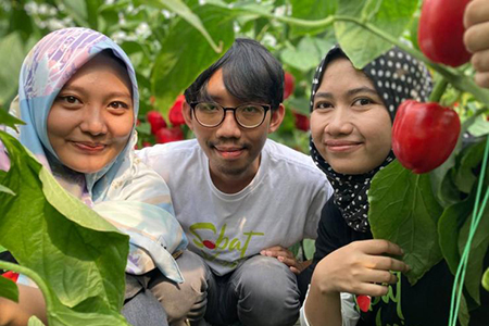 Petani Milenial Bandung Barat: Perlu Kolaborasi dengan Senior